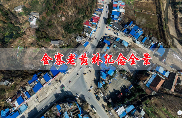 金寨黄林全景